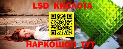 ПСИЛОЦИБИНОВЫЕ ГРИБЫ Кингисепп