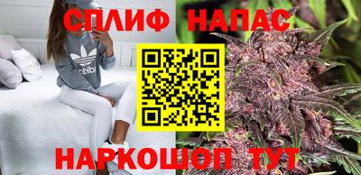 spice Кинель