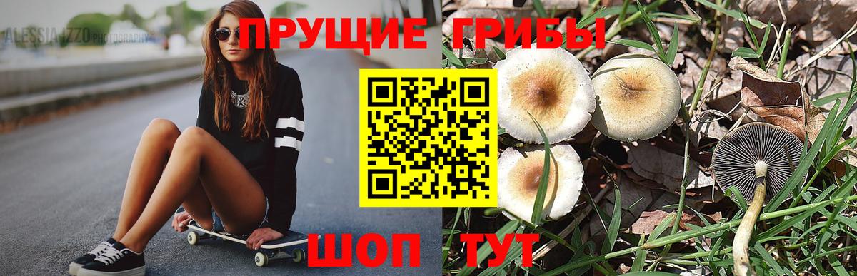 Псилоцибиновые грибы мухоморы Кировск
