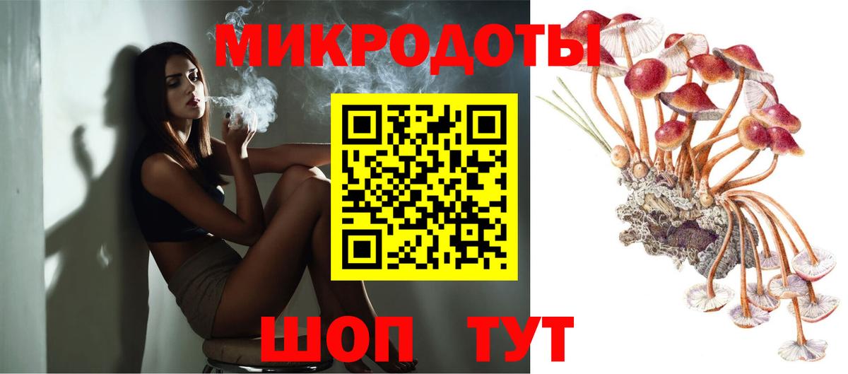 Галлюциногенные грибы Cubensis  Вход с VPN  Псилоцибиновые грибы прущие грибы  Кировск 